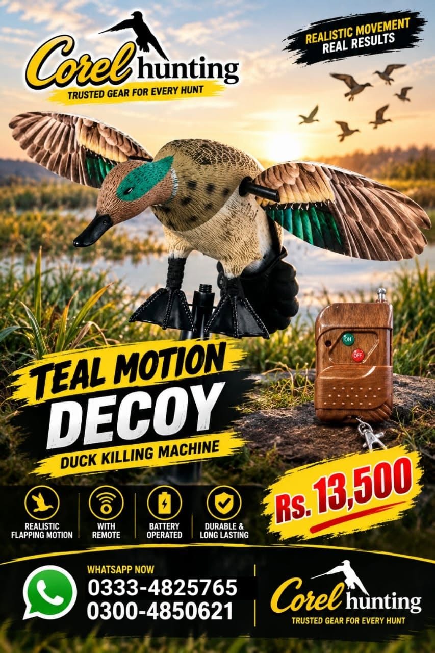 Teal Motion Decoy